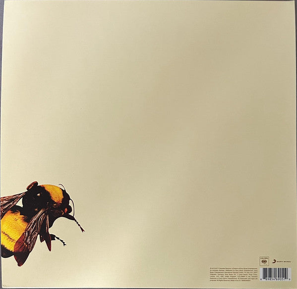 Tyler, The Creator : Scum Fuck Flower Boy (2x12", Album, Gat)