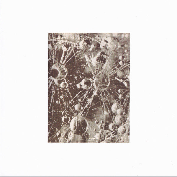 Loops Of Your Heart : And Never Ending Nights (CD, Album)