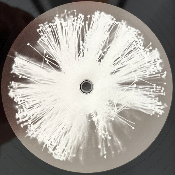 Four Tet : Into Dust (Still Falling) (12", Single)