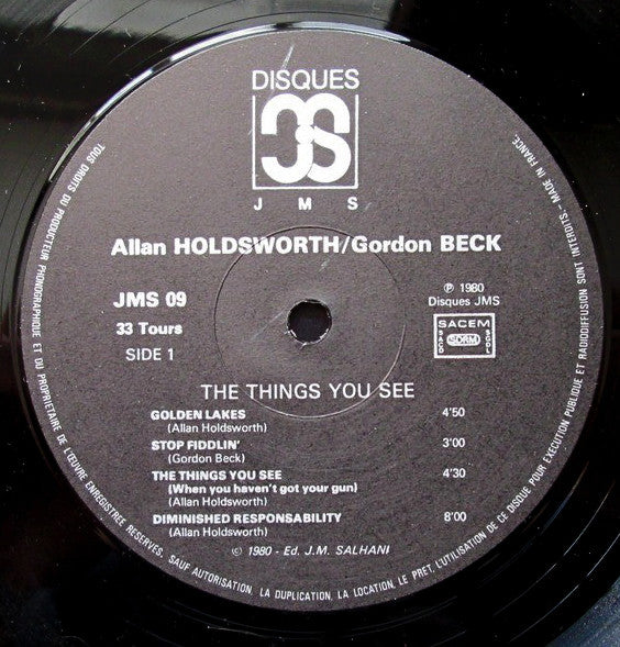 Allan Holdsworth - Gordon Beck : The Things You See (LP, Album)