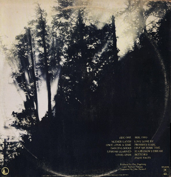 Dan Fogelberg : Nether Lands (LP, Album, Gat)