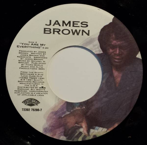 James Brown : (So Tired Of Standing Still We Got To) Move On / You Are My Everything (7")