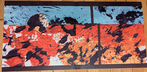 Grizzly Bear : Painted Ruins (LP, Ltd, Oxb)