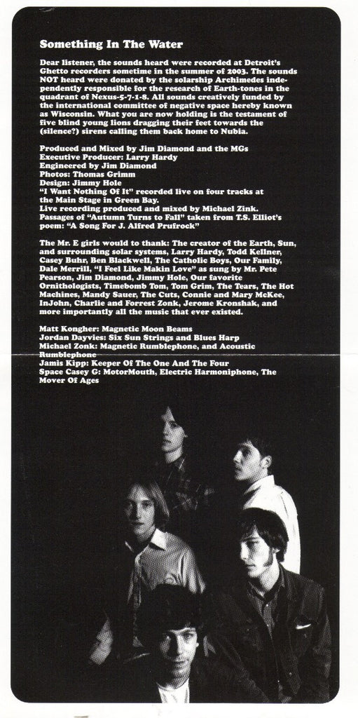 The Mystery Girls (2) : Something In The Water (CD, Album)