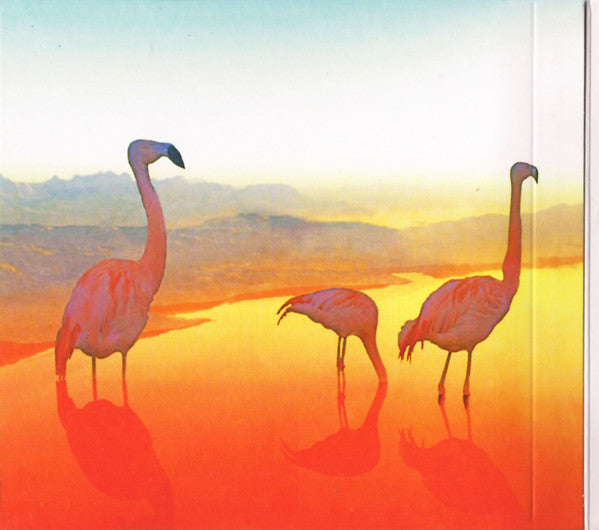 Scissor Sisters : Magic Hour (CD, Album)