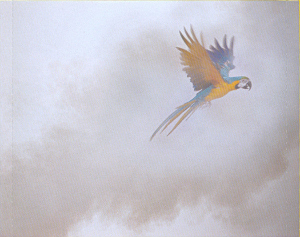 Freja Loeb : Odyssey (CD, Album)