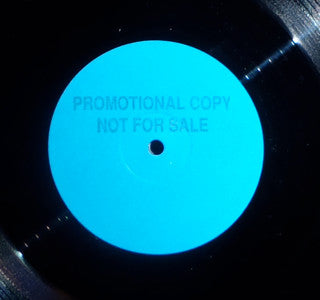 R-Plane : E-Cuador / Flight Of The Bee (12", Promo)