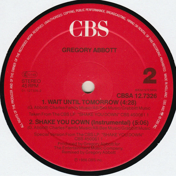 Gregory Abbott : Shake You Down (Extended Club Mix) (12", Maxi)