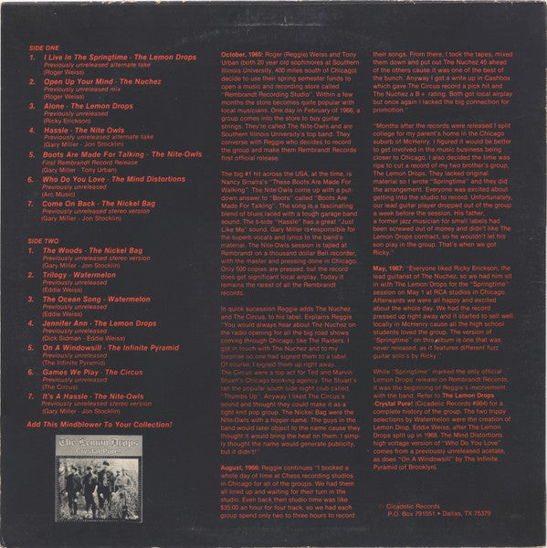 Various : Chicago Garage Band Greats: The Best Of Rembrandt Records 1966-1968 (LP, Comp)