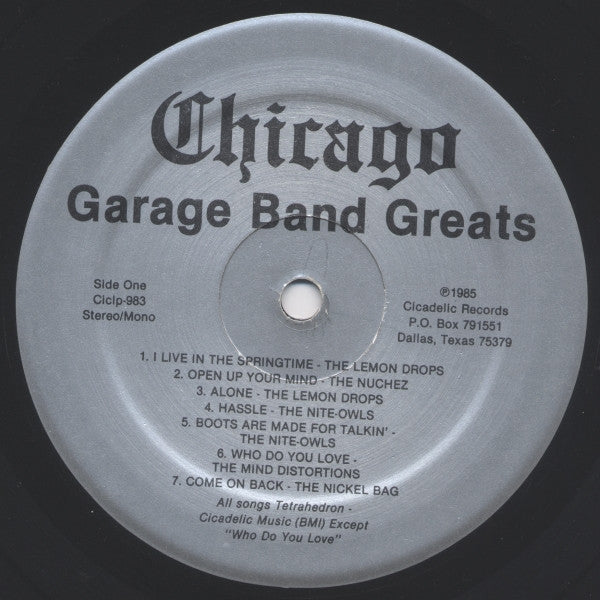Various : Chicago Garage Band Greats: The Best Of Rembrandt Records 1966-1968 (LP, Comp)