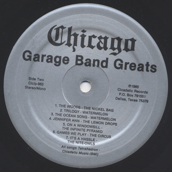 Various : Chicago Garage Band Greats: The Best Of Rembrandt Records 1966-1968 (LP, Comp)