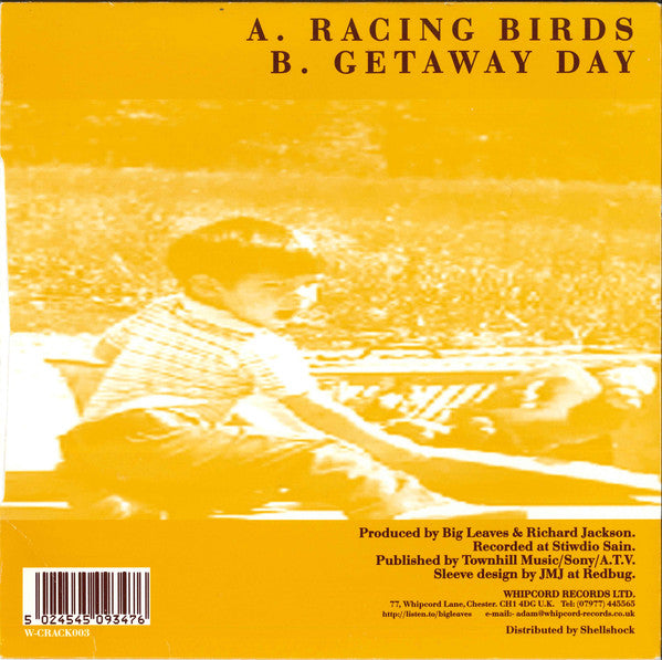 Big Leaves : Racing Birds (7", Single)
