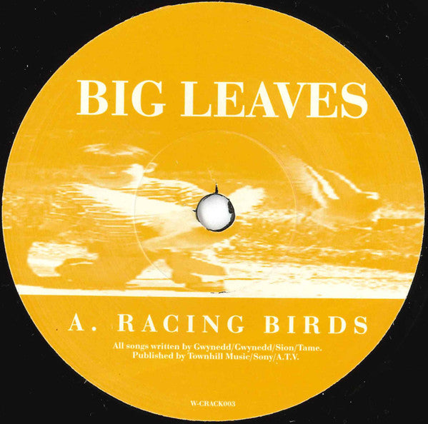 Big Leaves : Racing Birds (7", Single)