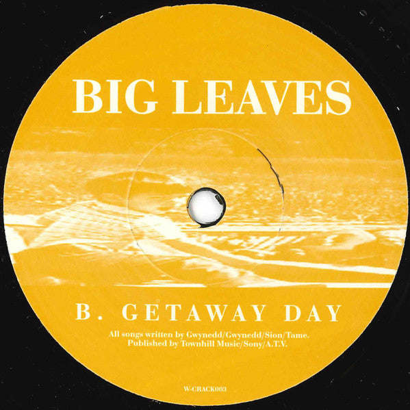 Big Leaves : Racing Birds (7", Single)