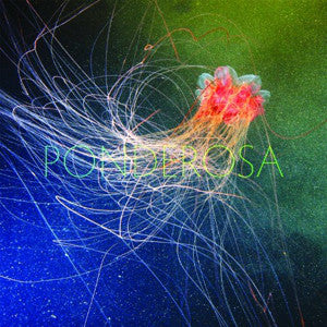 Ponderosa : Pool Party (LP, Album, Ltd, 180)