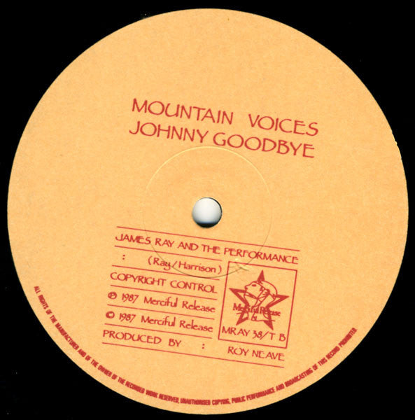 James Ray And The Performance : Texas (12", Single)