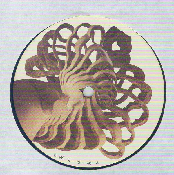 Lenny Mac Dowell : Flying Torso (LP, Album, Gat)