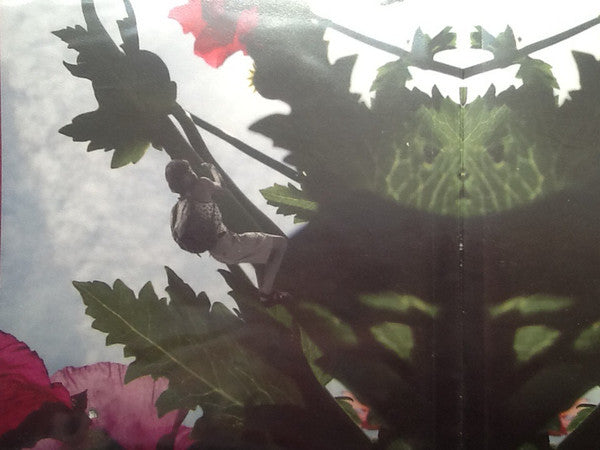 Birthmark (3) : Lost.Found (2xLP, Ltd, Gat)