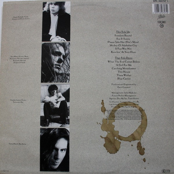 The Rave-Ups : The Book Of Your Regrets (LP, Album)