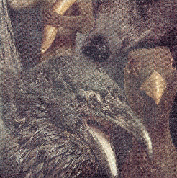 Graveyard (3) : Lights Out (CD, Album, Ltd, Dig)