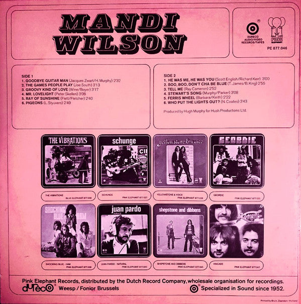 Mandi Wilson : Mandi Wilson (LP, Album)