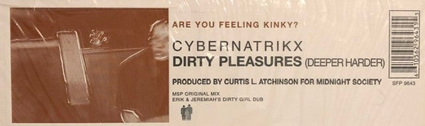 Cybernatrikx : Dirty Pleasures (Deeper, Harder) (12")