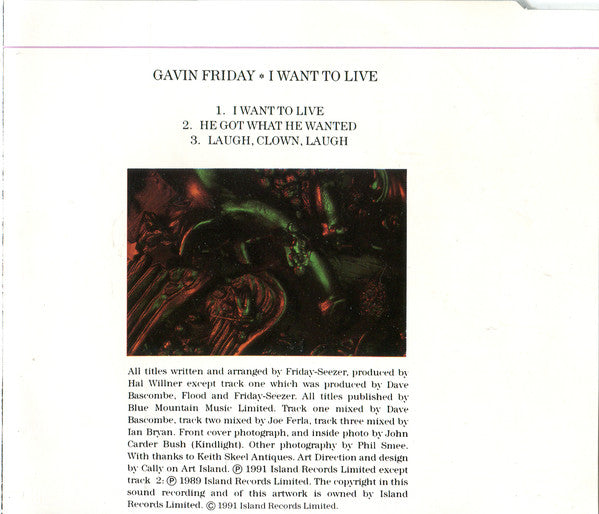 Gavin Friday : I Want To Live (CD, Single)