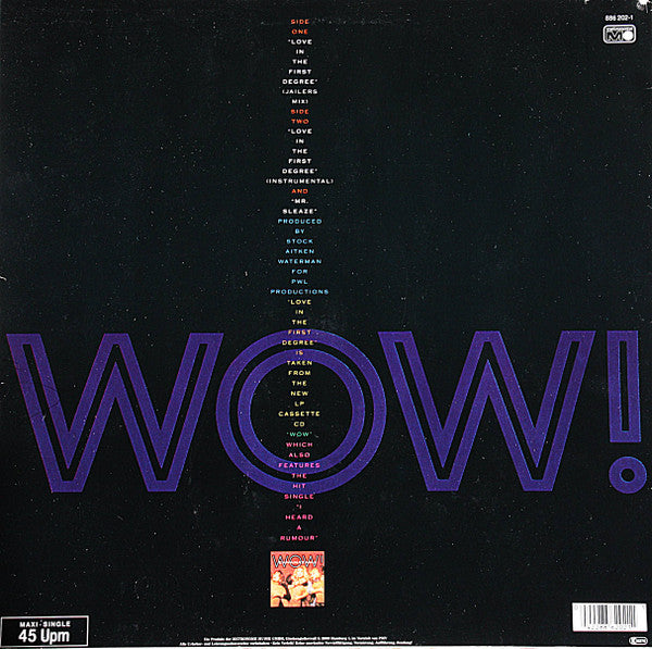 Bananarama : Love In The First Degree (12", Maxi)