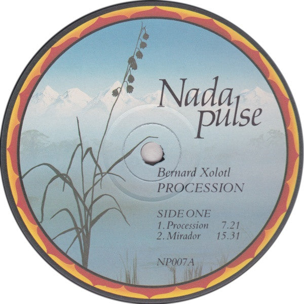 Bernard Xolotl with Daniel Kobialka : Procession (LP, Album)
