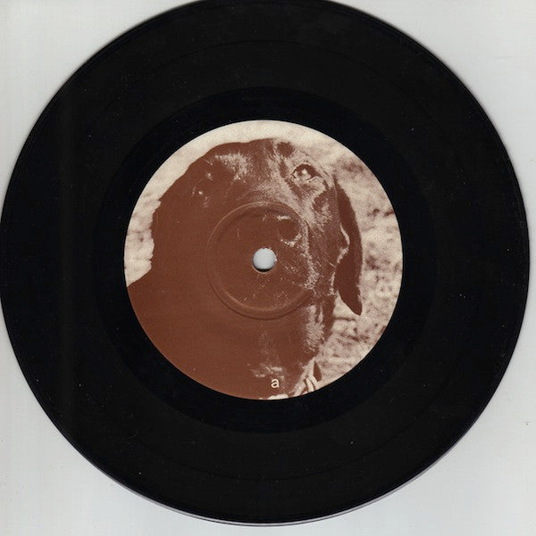 Labiators : 4 Track Recordings (2x7", Pin)