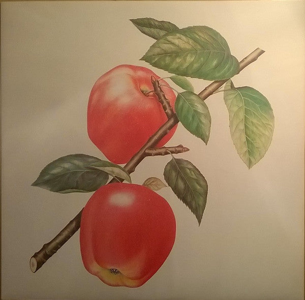 The Rolling Stones : Undercover (LP, Album)