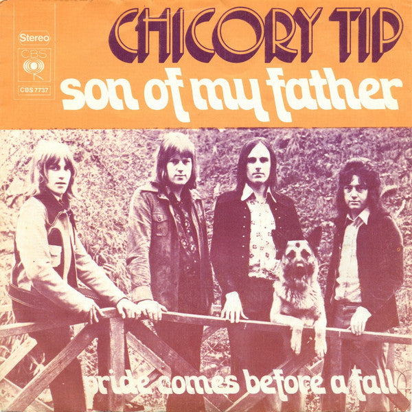 Chicory Tip : Son Of My Father (7", Single)
