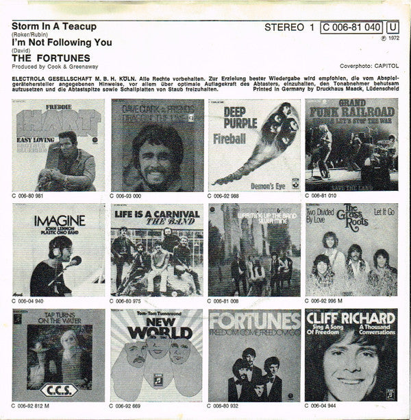 Fortunes* : Storm In A Teacup (7", Single)