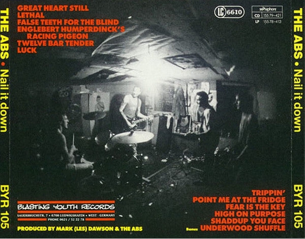 The Abs : Nail It Down (CD, Album)