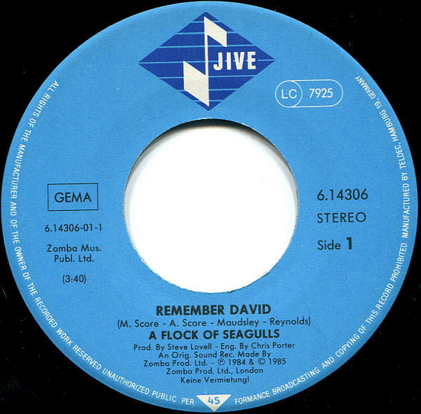 A Flock Of Seagulls : Remember David (7", Single)