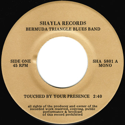Blondie : Touched By Your Presence (7", Unofficial)
