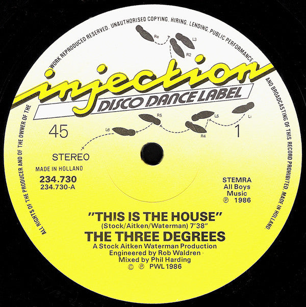 The Three Degrees : This Is The House (12", Pic)
