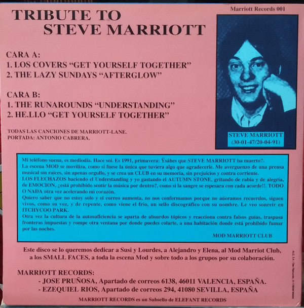 Various : Tribute To Steve Marriott (7", EP)