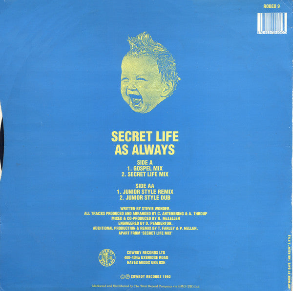 Secret Life : As Always (12")