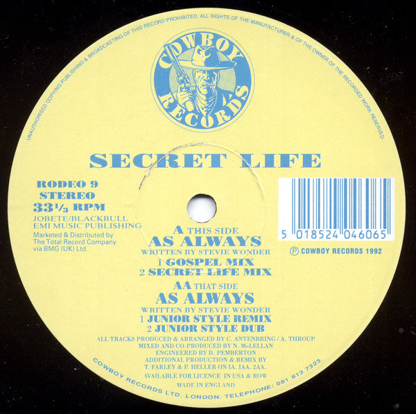 Secret Life : As Always (12")