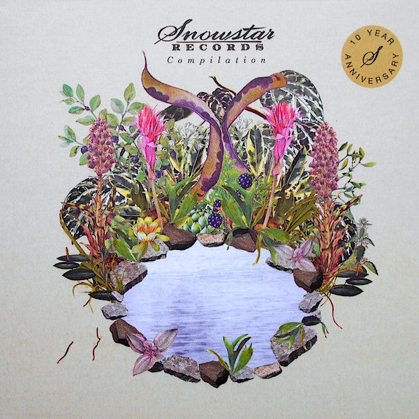 Various : Snowstar Records Compilation (CD, Comp, dig)