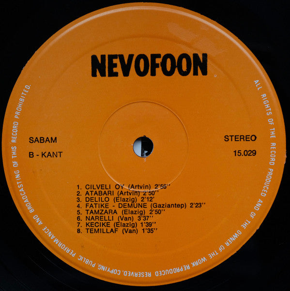 Unknown Artist : Türk Halk Oyunları - Turkish Folkdances (LP, Album)