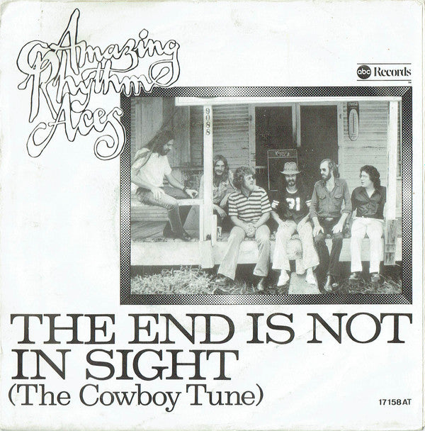 The Amazing Rhythm Aces : The End Is Not In Sight (The Cowboy Tune) (7", Single)