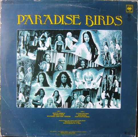 Paradise Birds : Paradise Birds (LP)