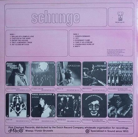 Schunge : Schunge (LP)