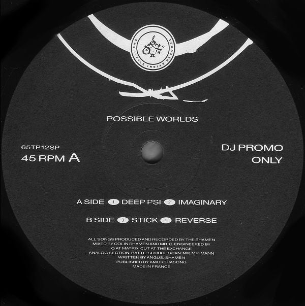 The Shamen : Possible Worlds (12", Promo)