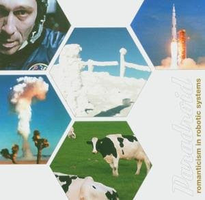 Paradroid : Romanticism In Robotic Systems (CD, Album)