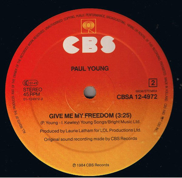 Paul Young : Everything Must Change (Special Extended Mix) (12", Maxi)