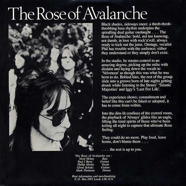The Rose Of Avalanche : Always There (LP, Comp)