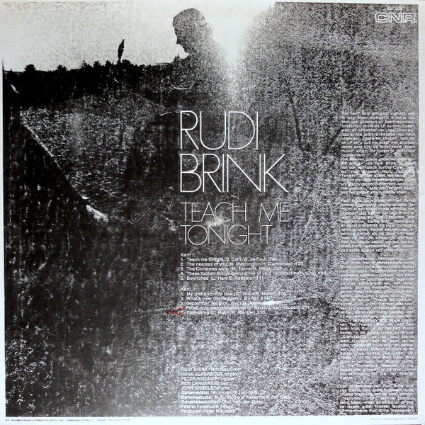 Ruud Brink : Teach Me Tonight (LP, Album)